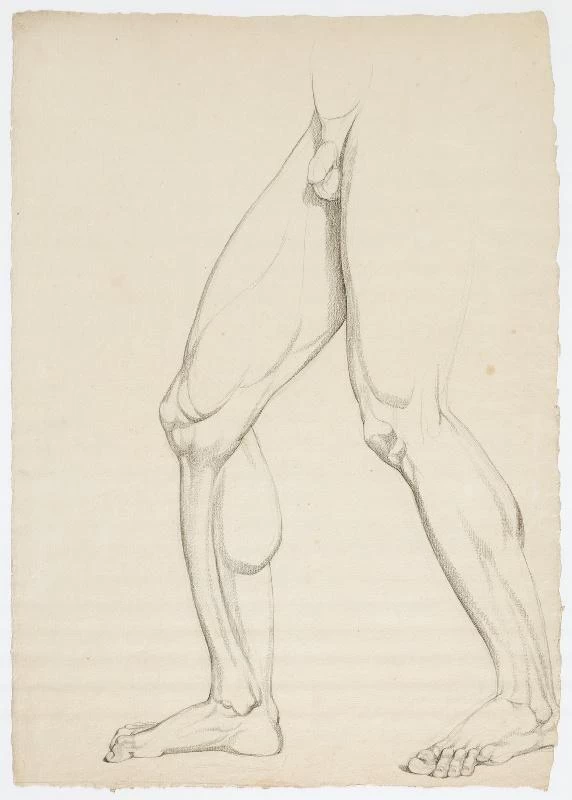 Studio di anatonia - Arles ; musée Réattu